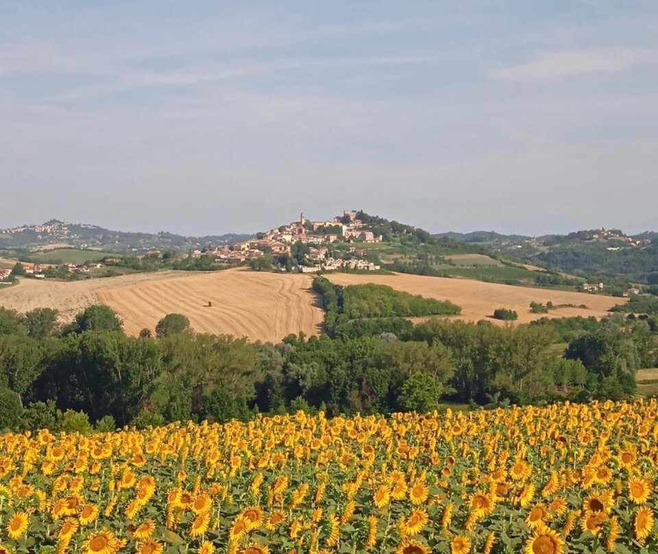 Il Casale