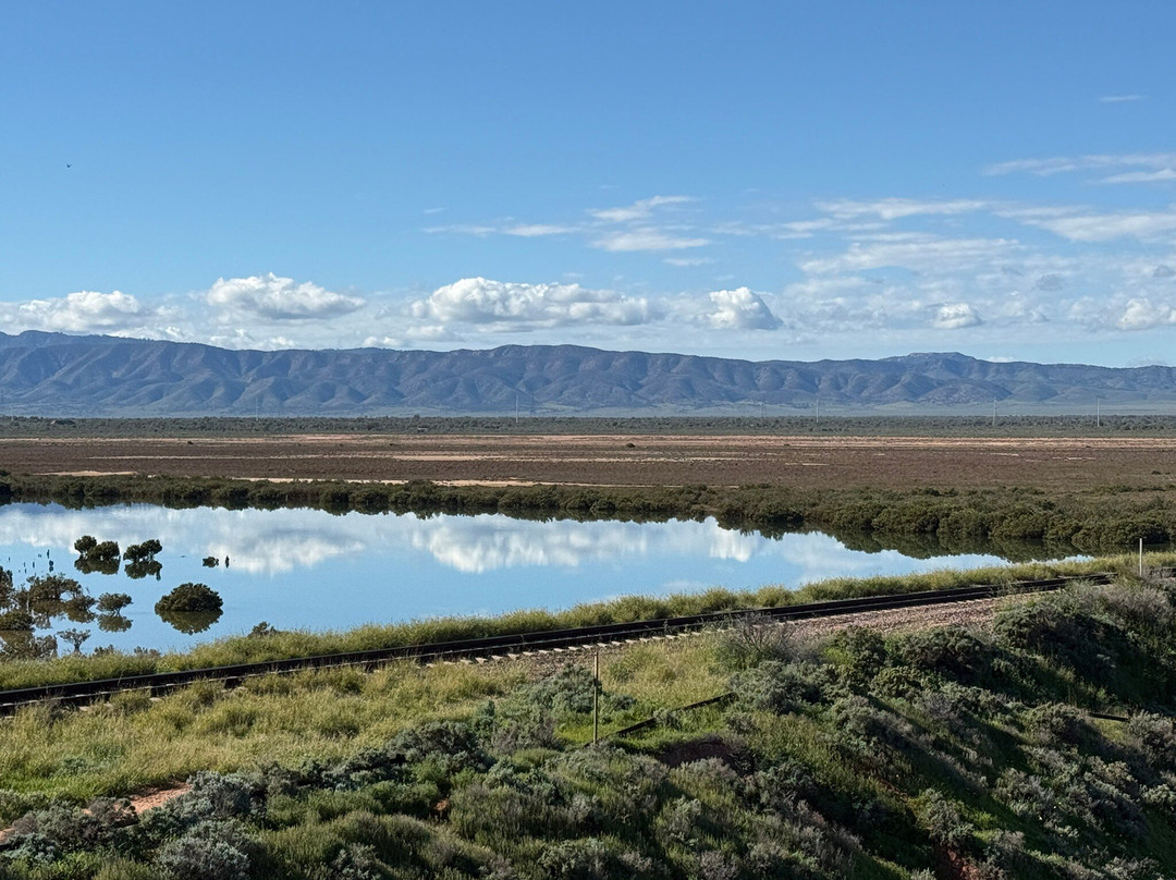 Australian Arid Lands Botanic Garden-Port Augusta必去景点