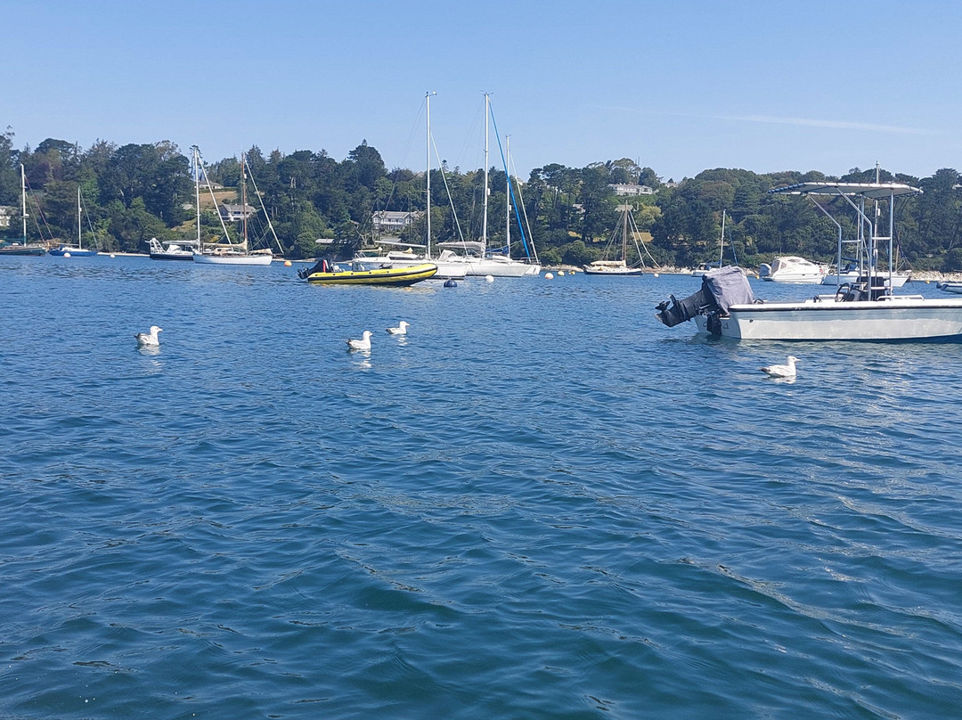 Helford River Cruises-Mawnan Smith必去景点