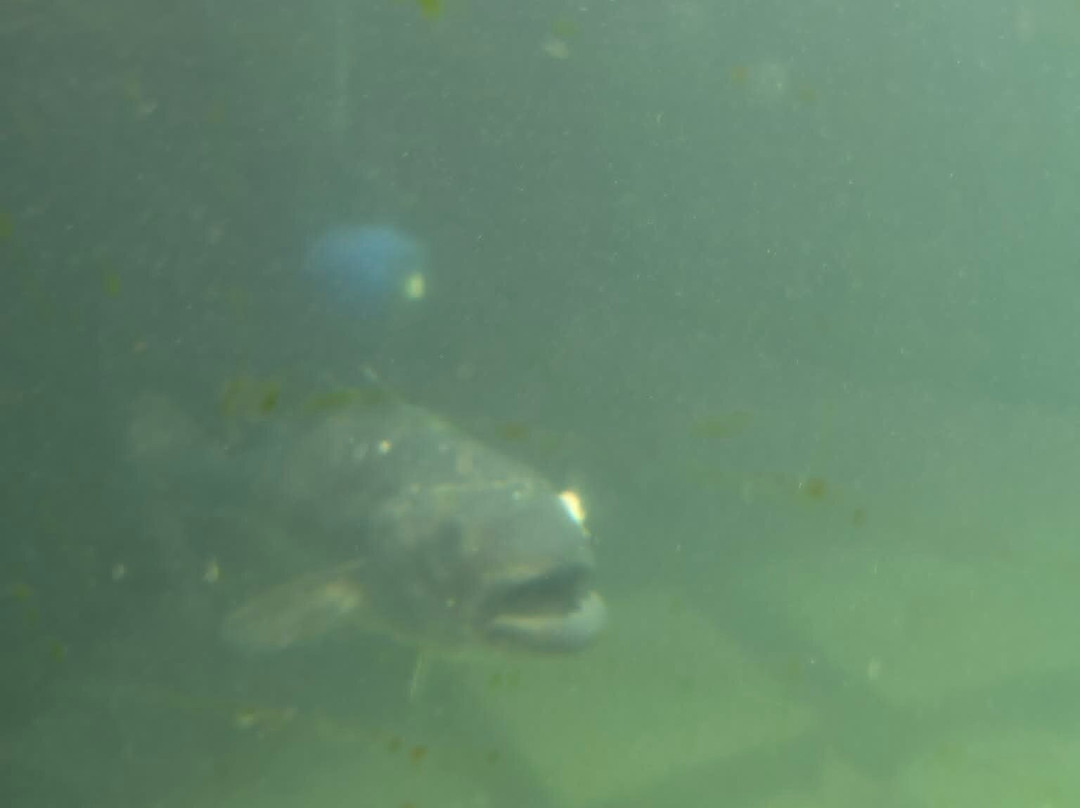 St Abbs Aquarium-Eyemouth必去景点