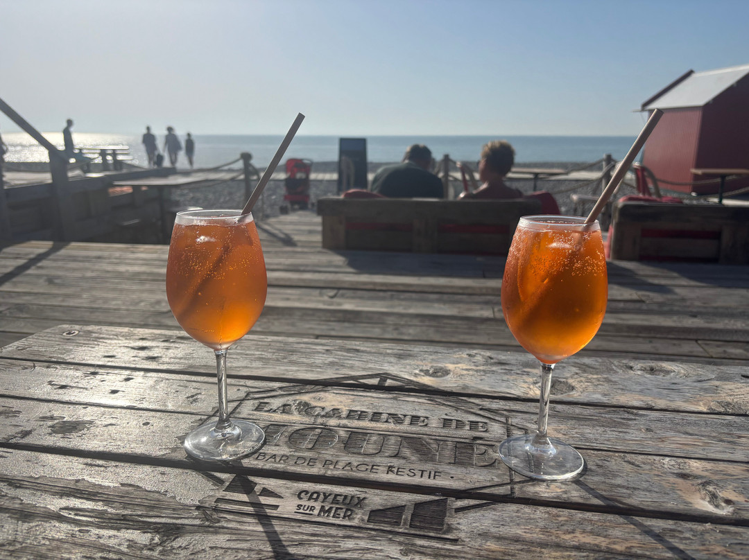 Mouton Phare Bar,  Cayeux-su-mer