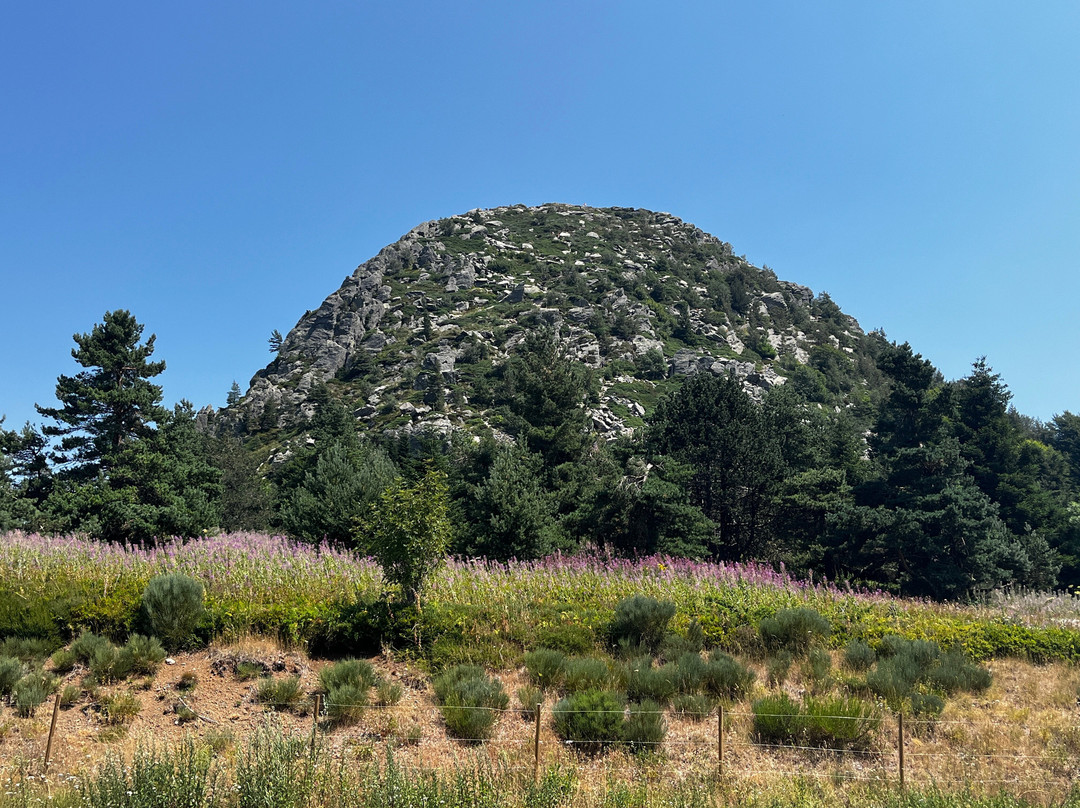 Mont Gerbier de Jonc-Saint-Martial必去景点