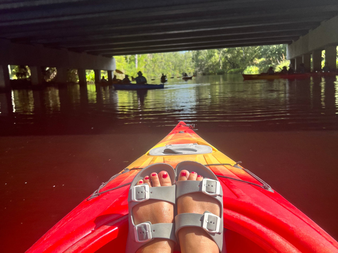 Amelia Island Kayak Excursions-费尔南迪纳岛必去景点