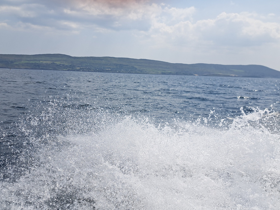 Bantry Sea Safari & Rentals-Bantry必去景点