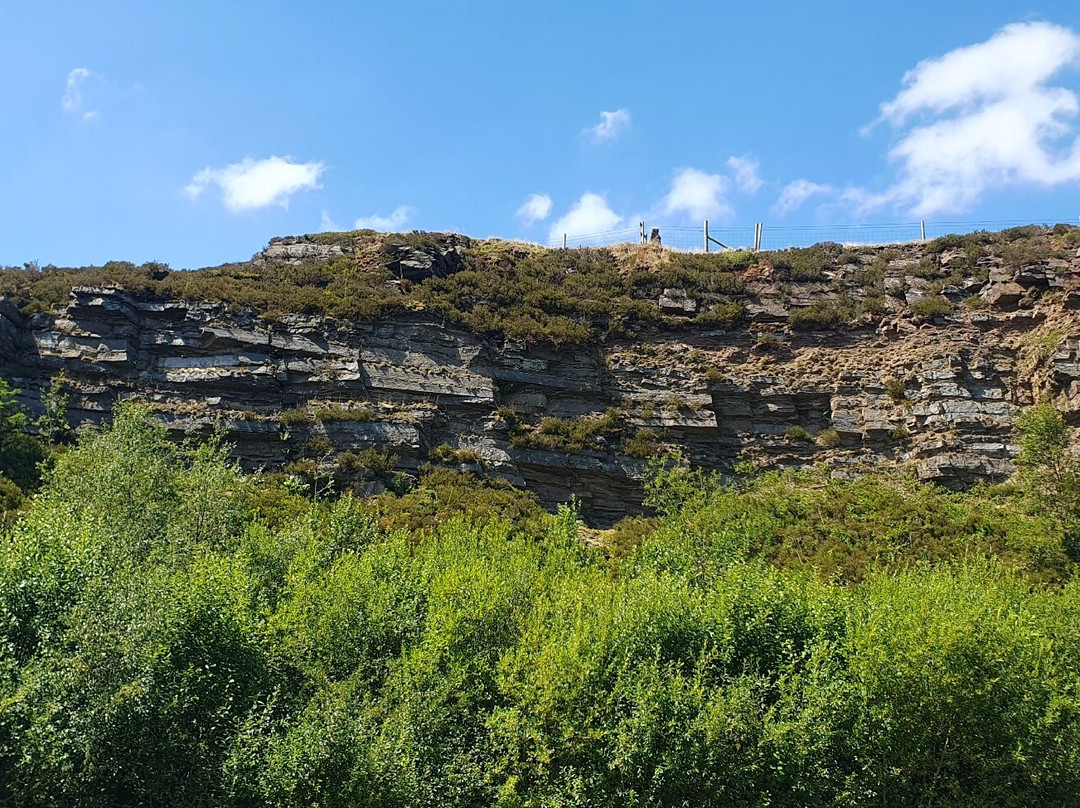Tegg’s Nose Country Park-麦克尔斯菲尔德必去景点