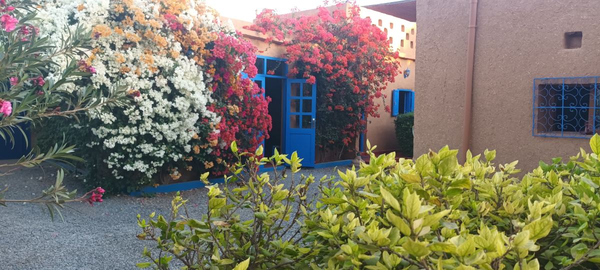 La Maison de l'Homme Bleu-旅行者