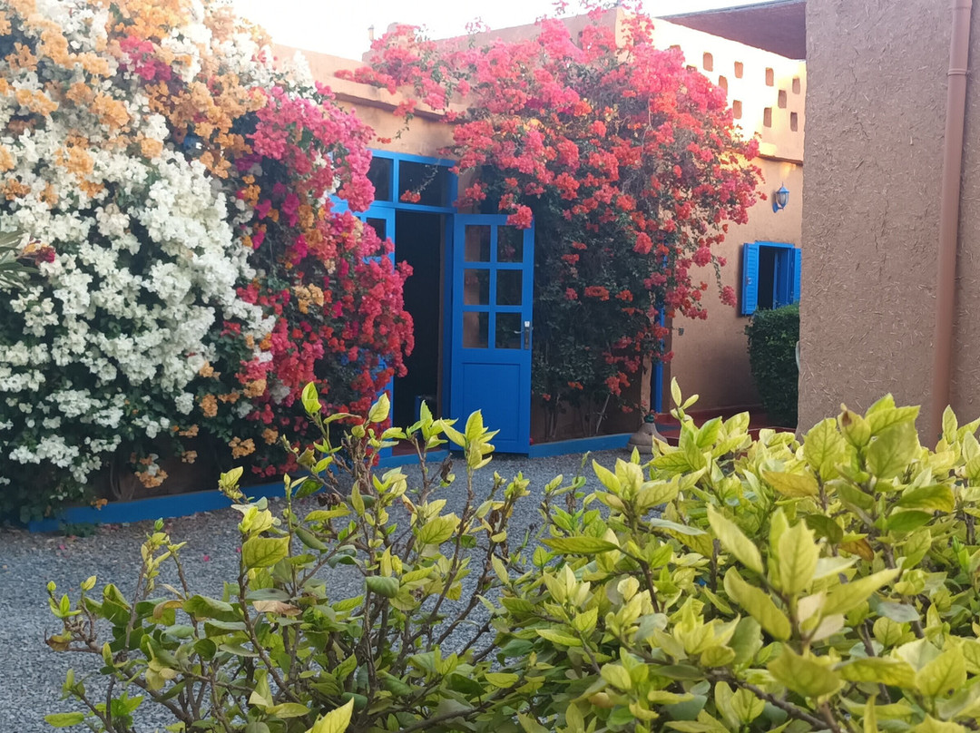 La Maison de l'Homme Bleu主图