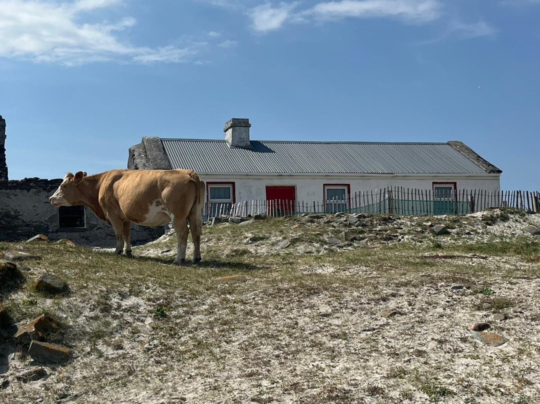 Belmullet Boat Charters - Inishkea Ferry & Sea Safari Tours-Belmullet必去景点