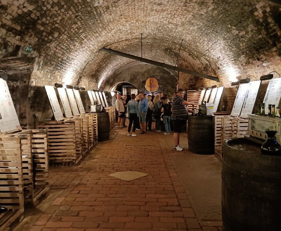 National Wine Salon (Národní salon vín)-Valtice必去景点