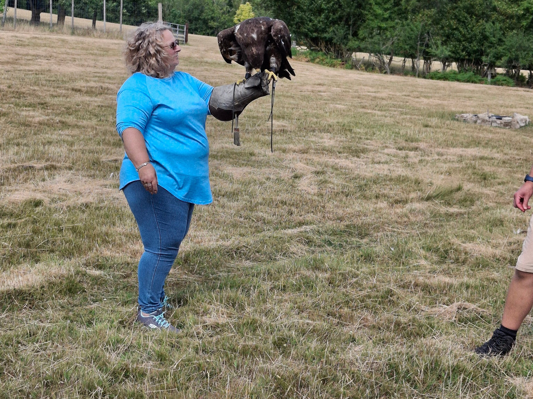 UK Owl And Raptor Centre-Groombridge必去景点