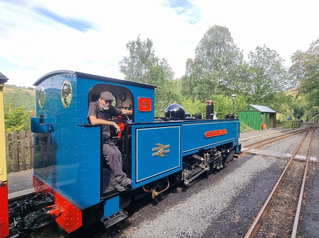Vale of Rheidol Railway-阿伯里斯特威斯必去景点