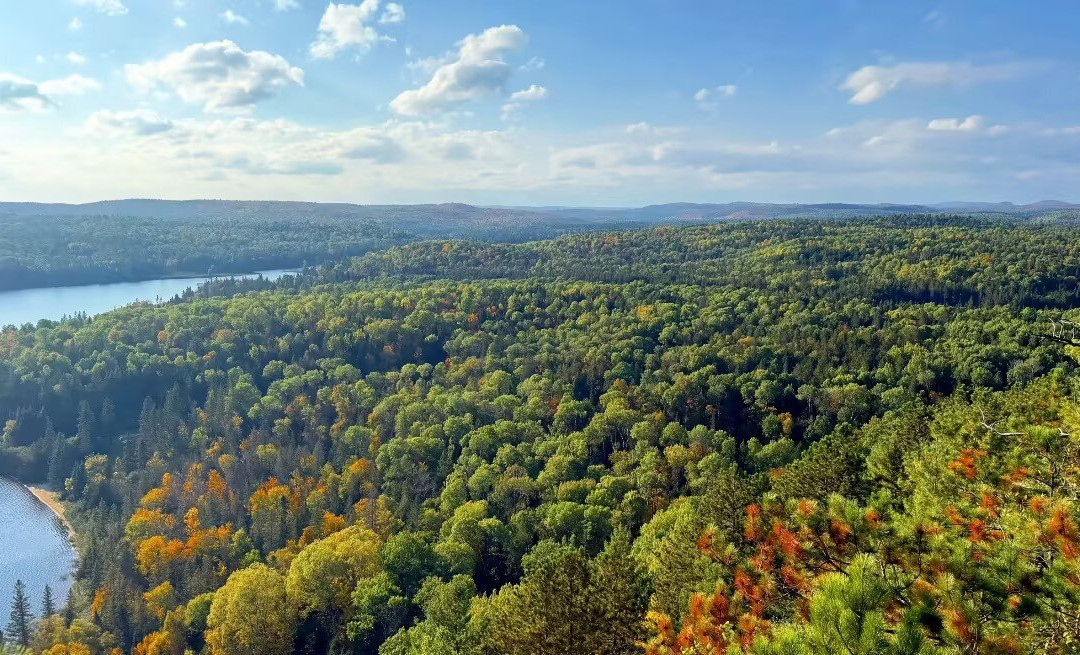 Algonquin Provincial Park-Haliburton必去景点