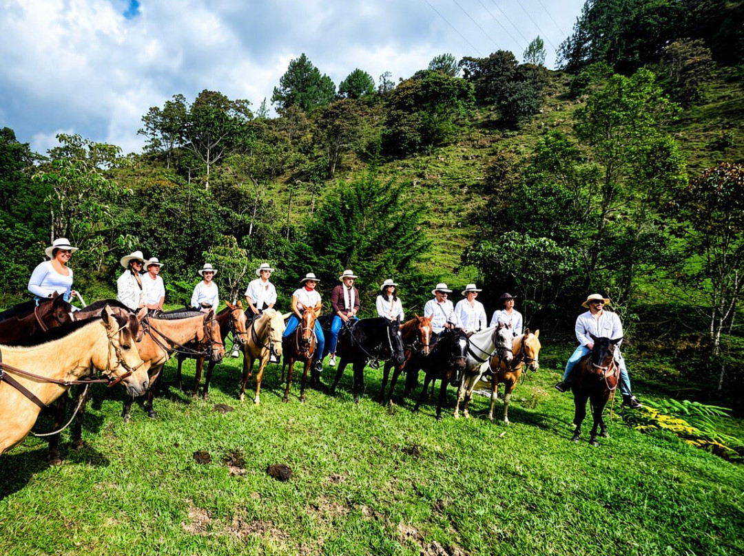 Por Montañas & Praderas
