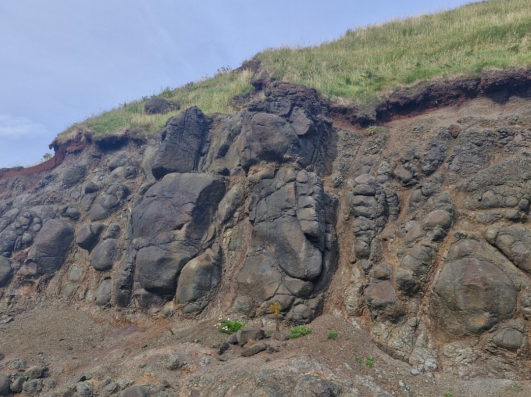 Giant's Causeway Visitor Centre-布什米尔斯必去景点