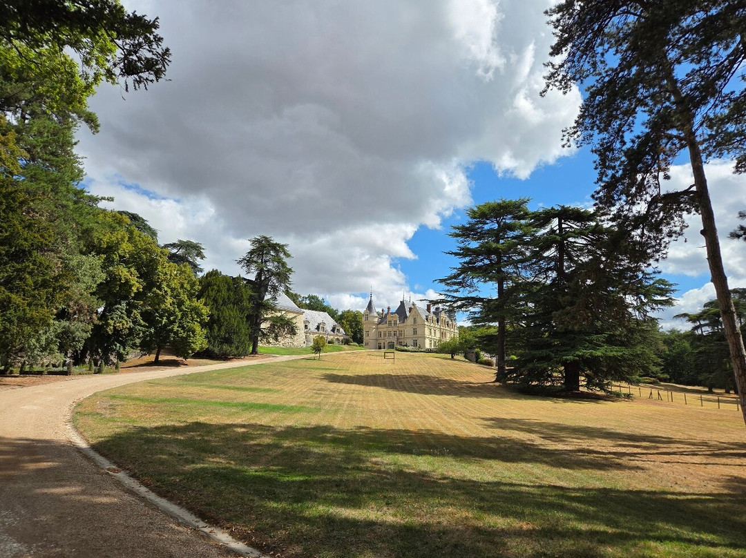 Gardens of the Chateau de la Bourdaisiere-卢瓦尔省蒙特路易必去景点