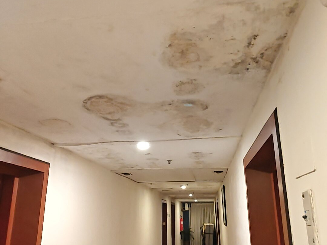 斯沃斯蒂格兰德主图