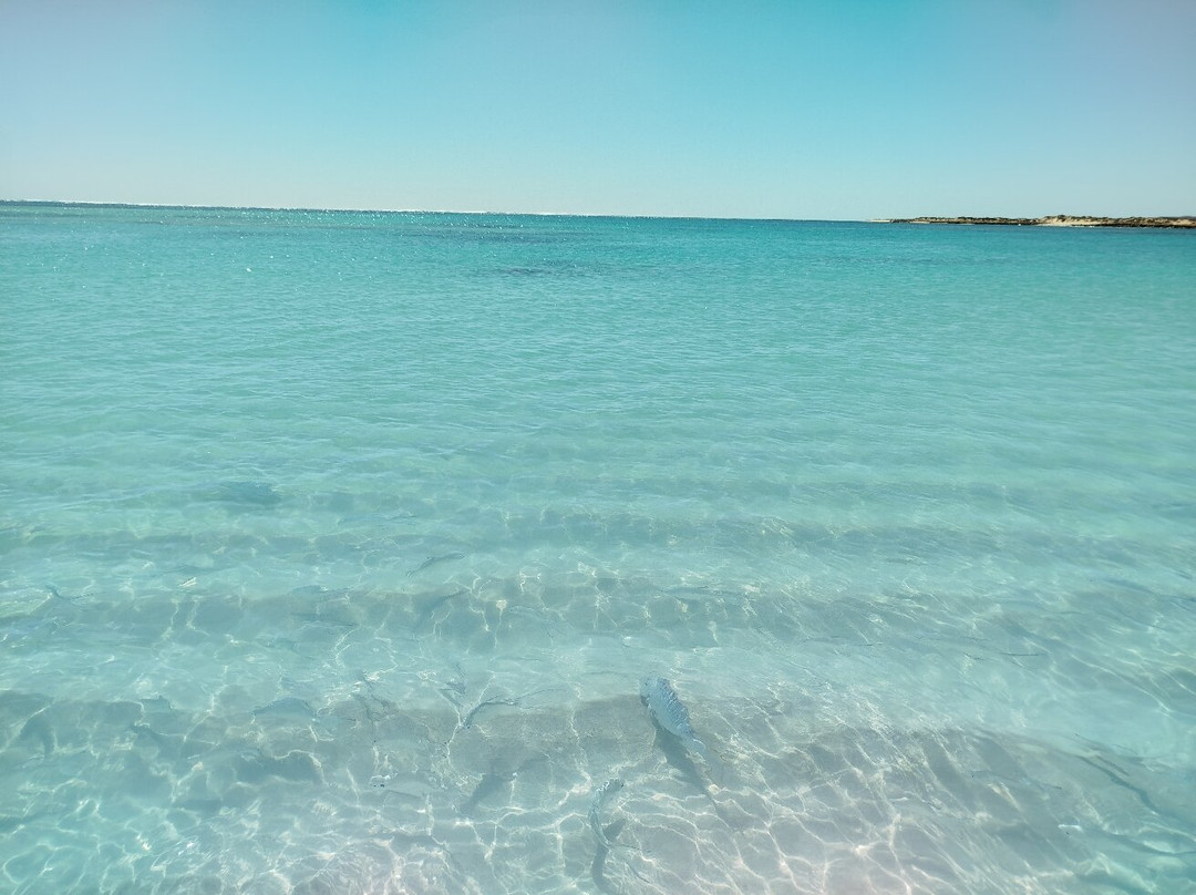 Turquoise Bay-埃克斯茅斯必去景点