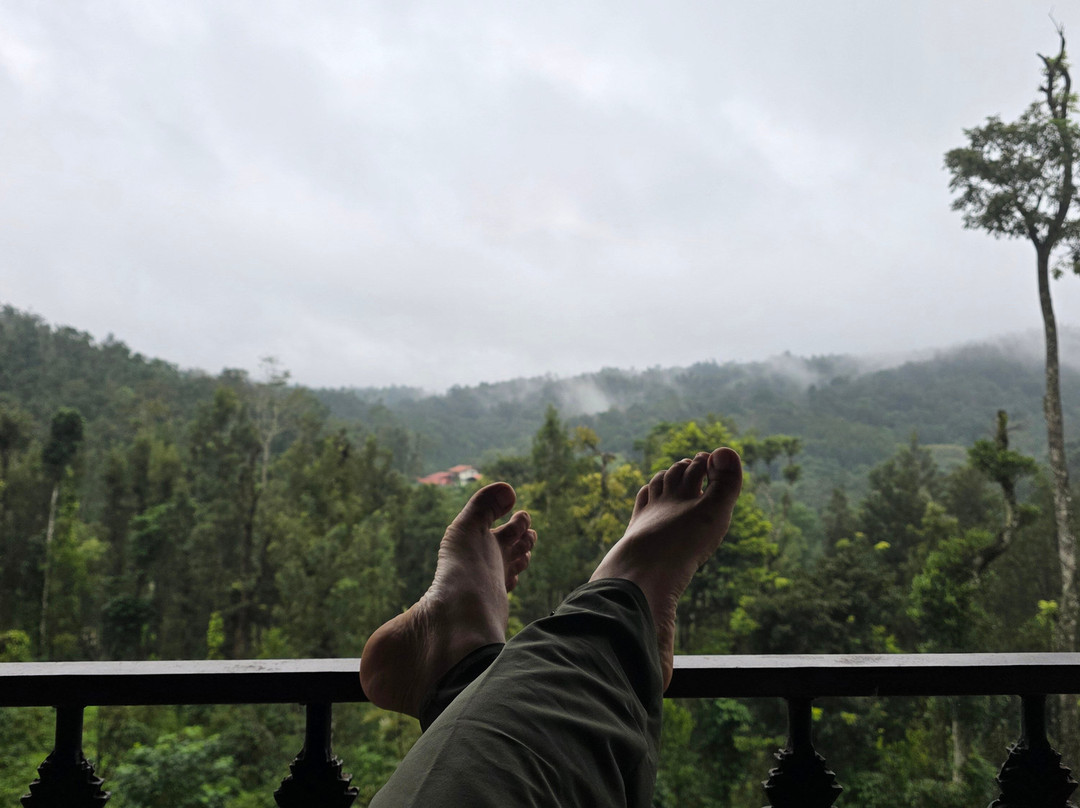 Coffeebean Home Stay Chikmagalur主图