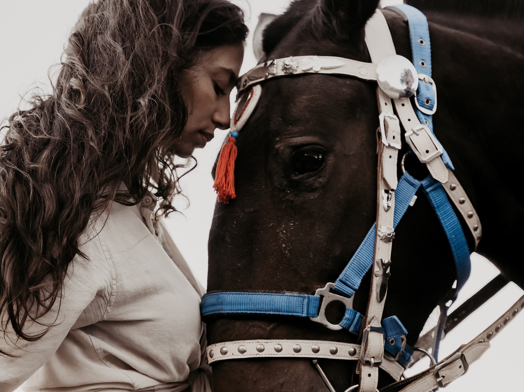 Maris Horseriding Santorini-费拉必去景点