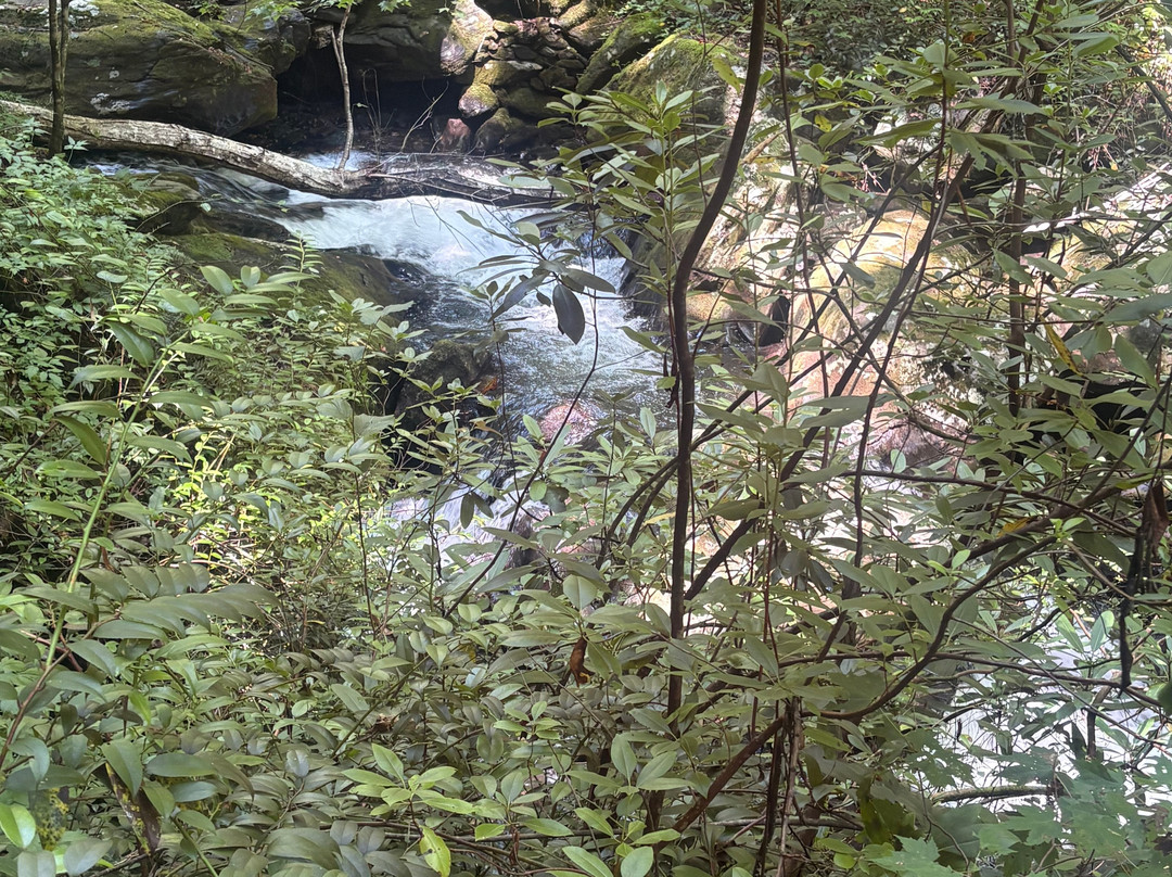 Anna Ruby Falls-海伦必去景点