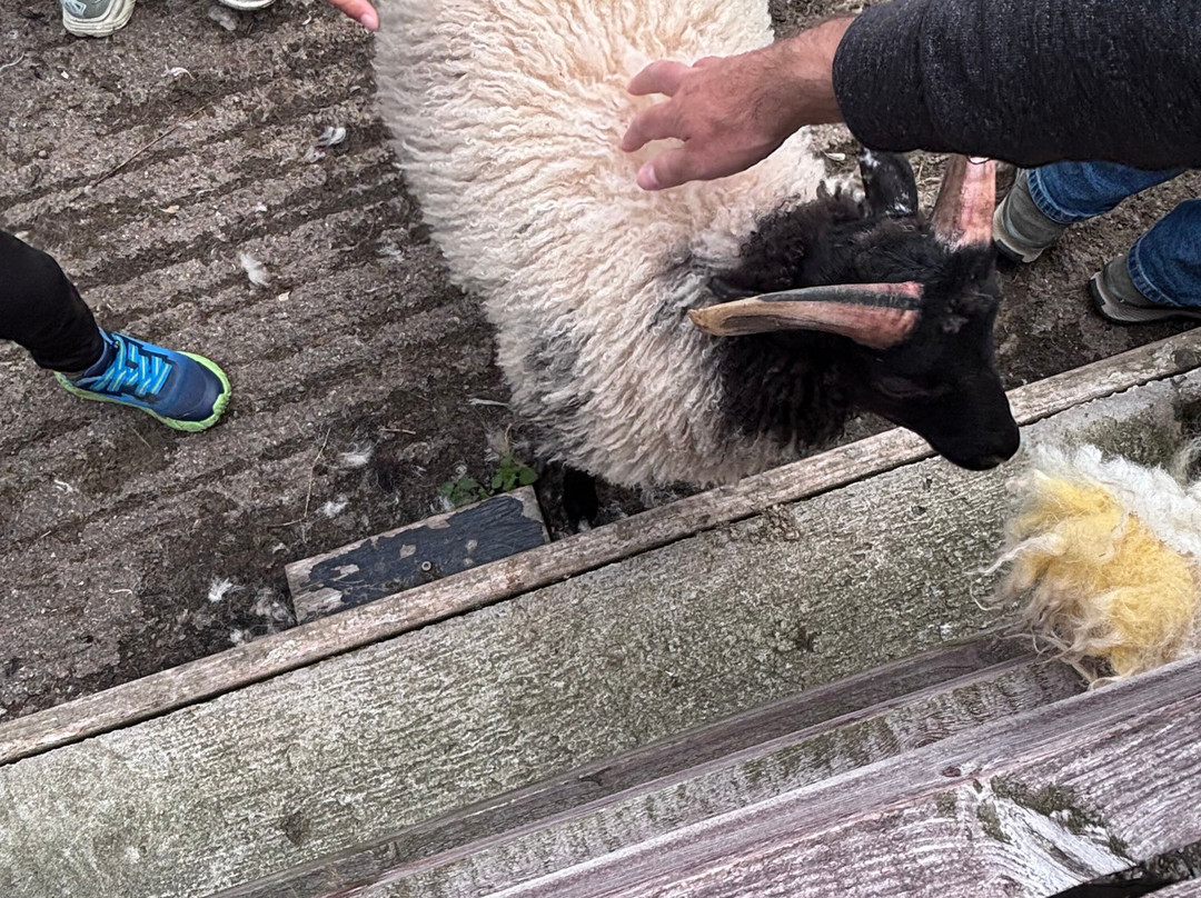 Killary Sheep Farm-Leenane必去景点