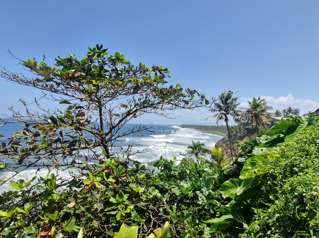 Ayushi Ayurvedic Retreat-瓦卡拉必去景点