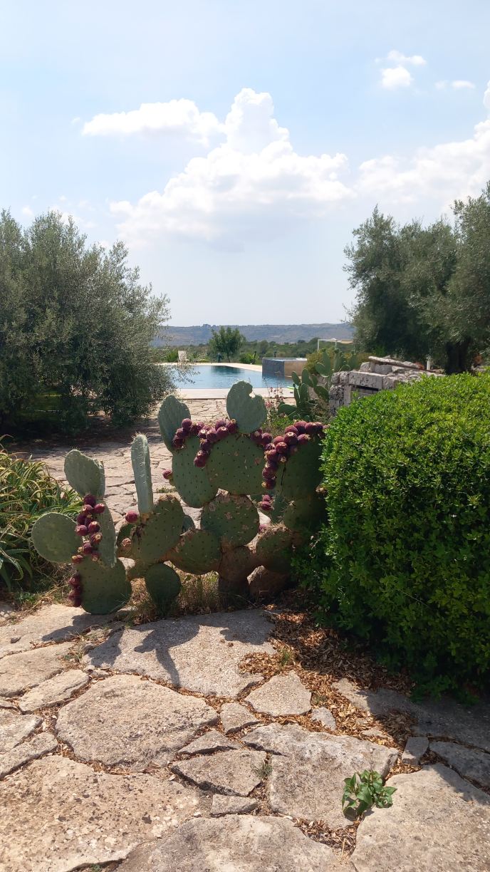 Agriturismo La Mela di Venere-旅行者