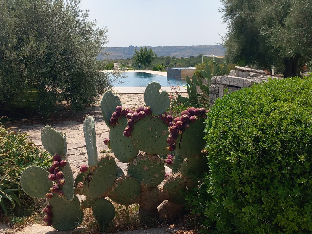 Agriturismo La Mela di Venere主图