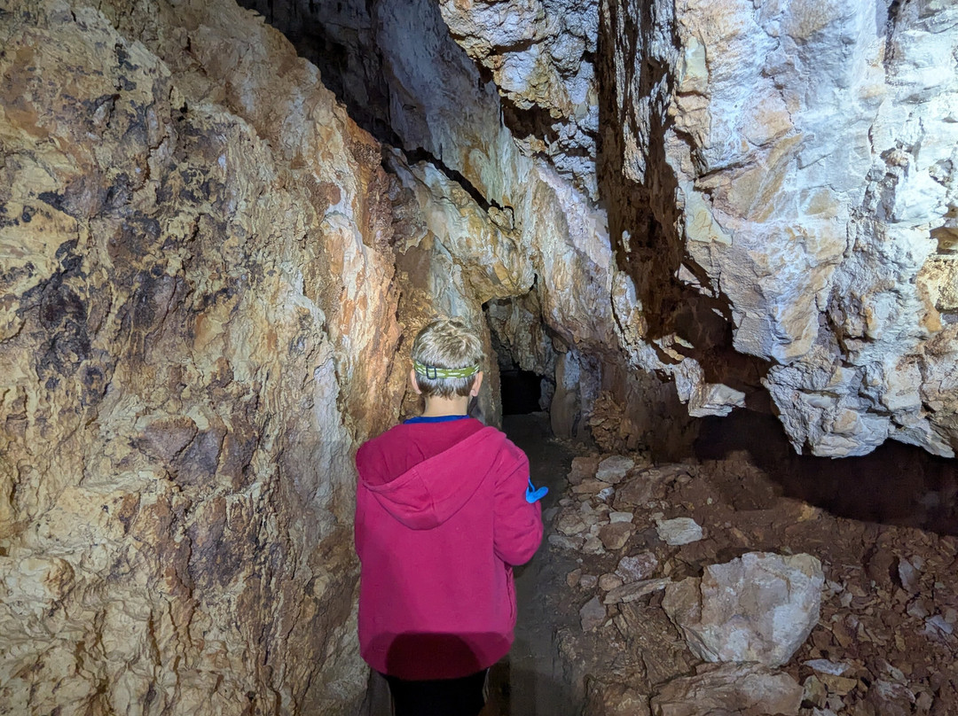 Aven Grotte Forestière-Orgnac-l'Aven必去景点