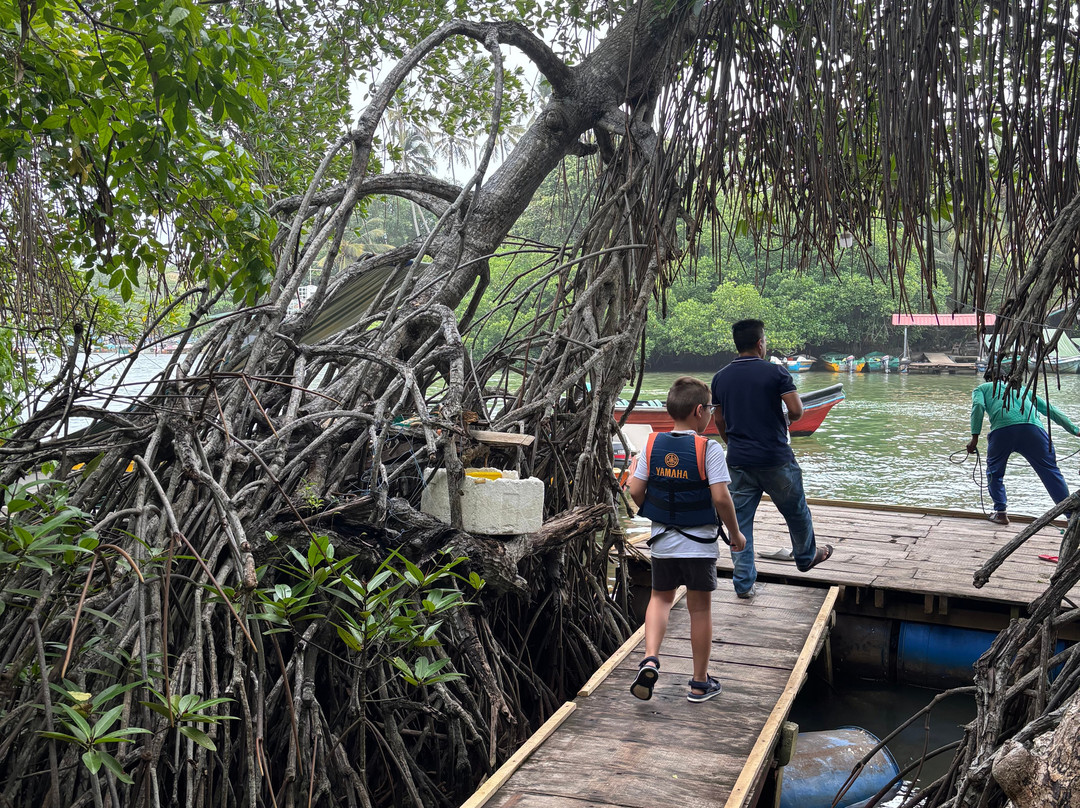 Elgant Island Tours-Katana必去景点