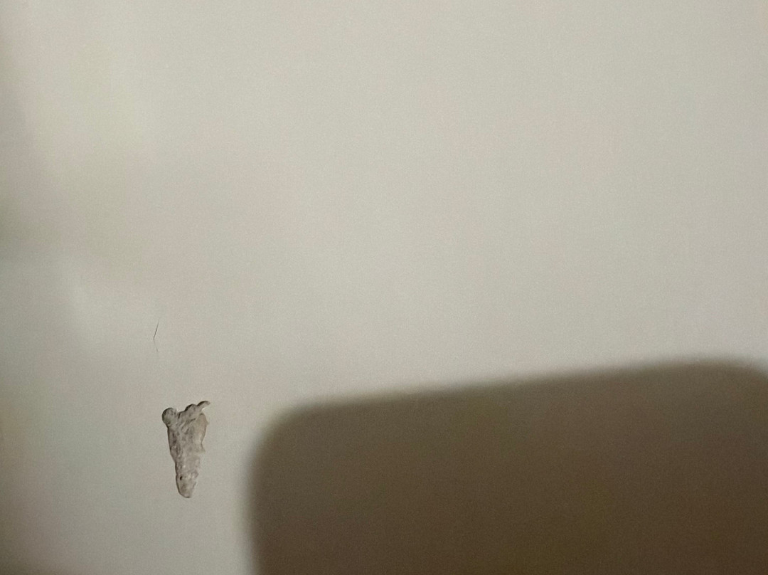 本德拉昆塔温德姆酒店主图