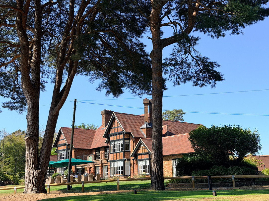 Swinley Forest Golf Club-Ascot必去景点