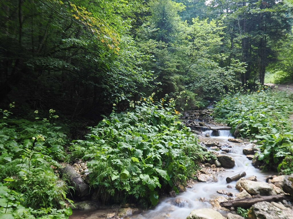 Seven Ladders Canyon-Timisul de Jos必去景点