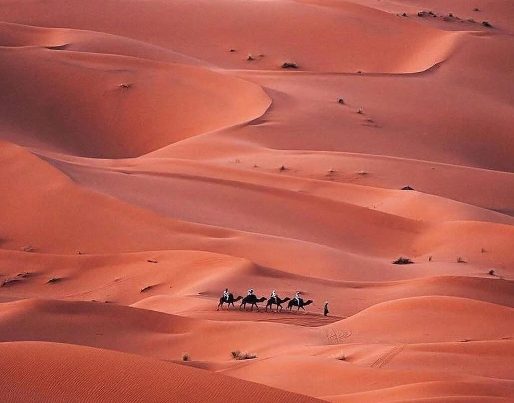 Excursion desert chegagag-Foum Zguid必去景点