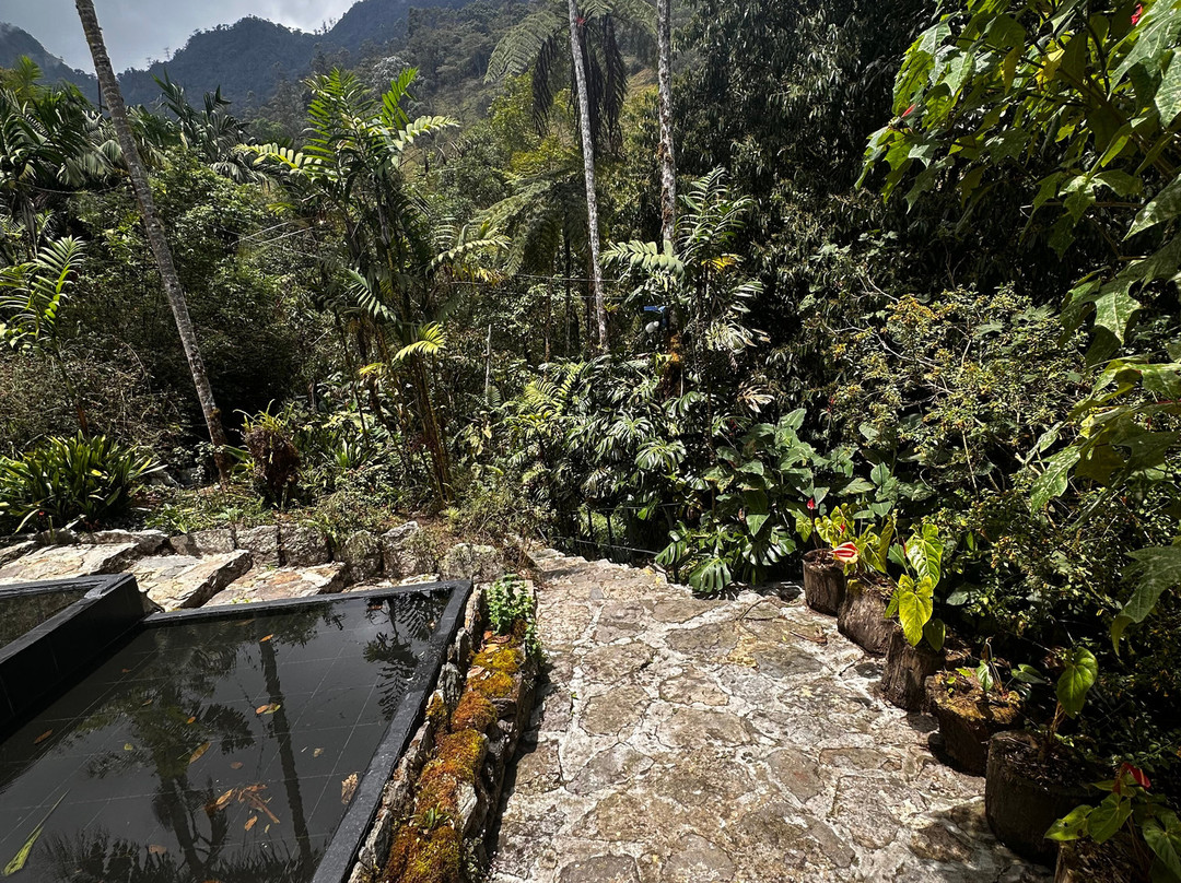 Parque Natural Los Tunos-San Antonio del Tequendama必去景点