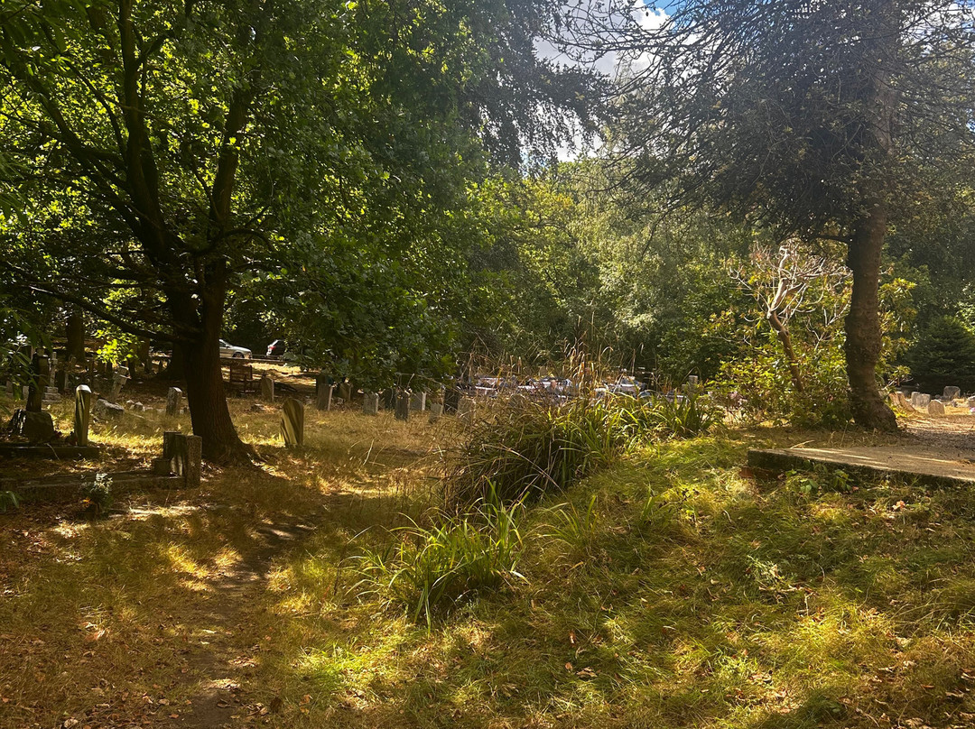 Epping Forest-Epping必去景点