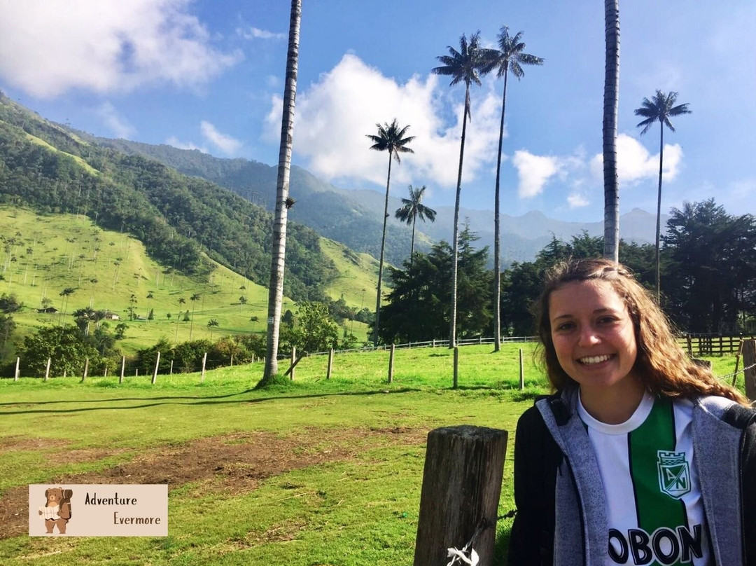 Valle De Cocora-萨伦托必去景点