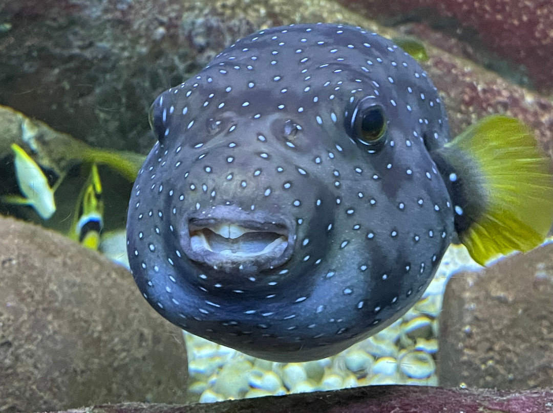 Randers Regnskov-兰讷斯必去景点
