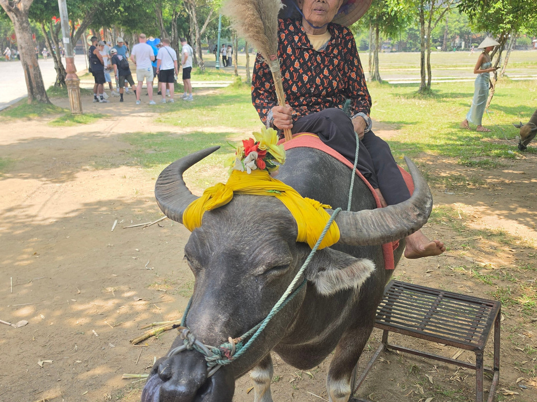 Ninh Binh Getaway-宁平必去景点