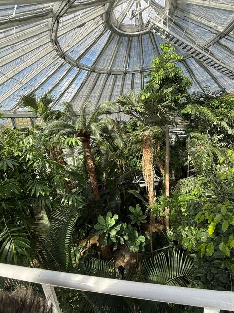 Botanical Garden-哥本哈根必去景点