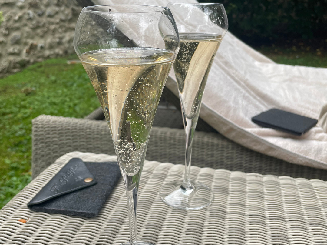 圣-德利斯旅馆 - Relais & Châteaux酒店主图
