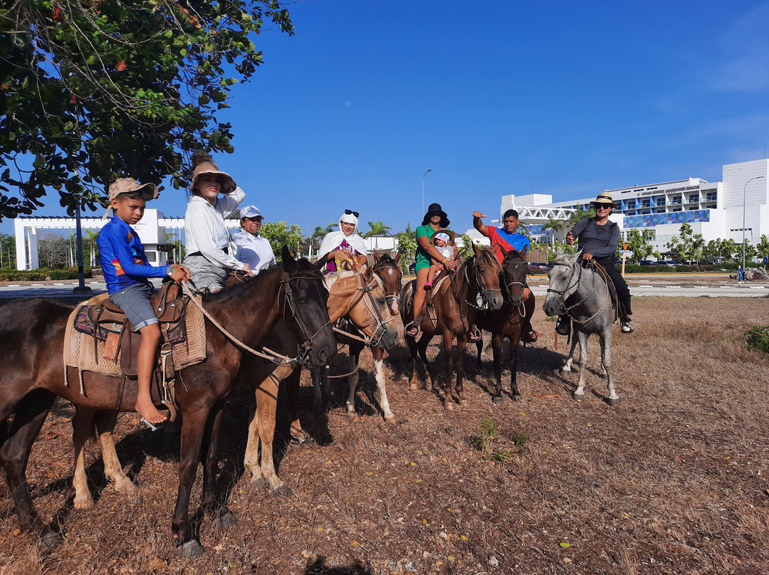 Gran Muthu Almirante Beach Hotel主图
