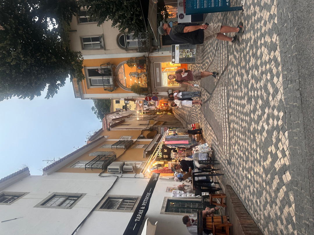 辛特拉中心 NH 酒店主图