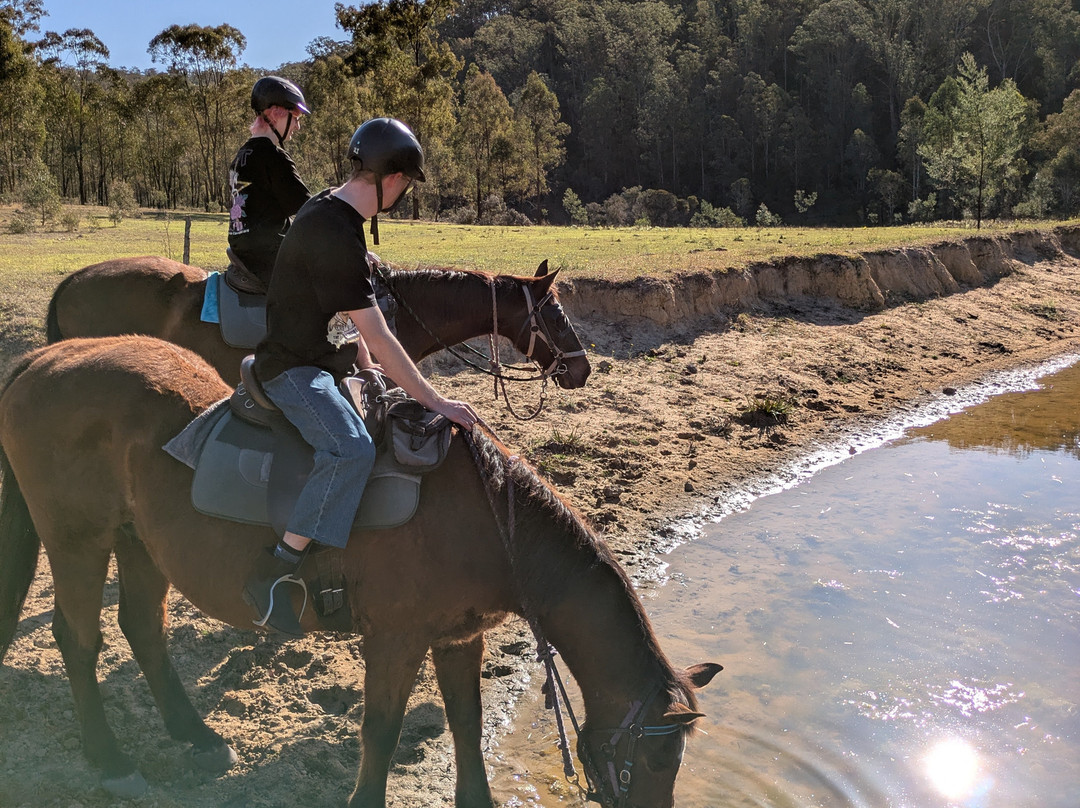 Chapman Valley Horse Riding-Howes Valley必去景点
