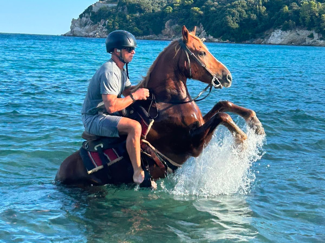 Skiathos Riding Centre-斯亚索斯必去景点