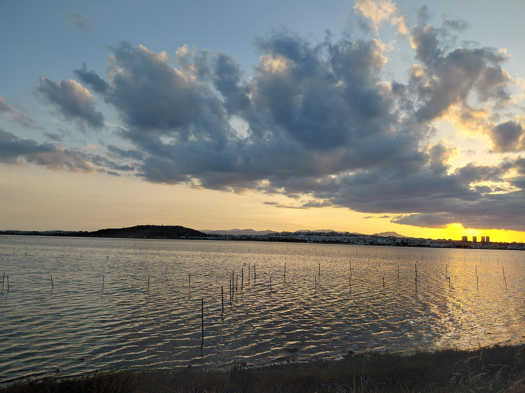 Parco Naturale Molentargius-Saline-卡利亚里省必去景点