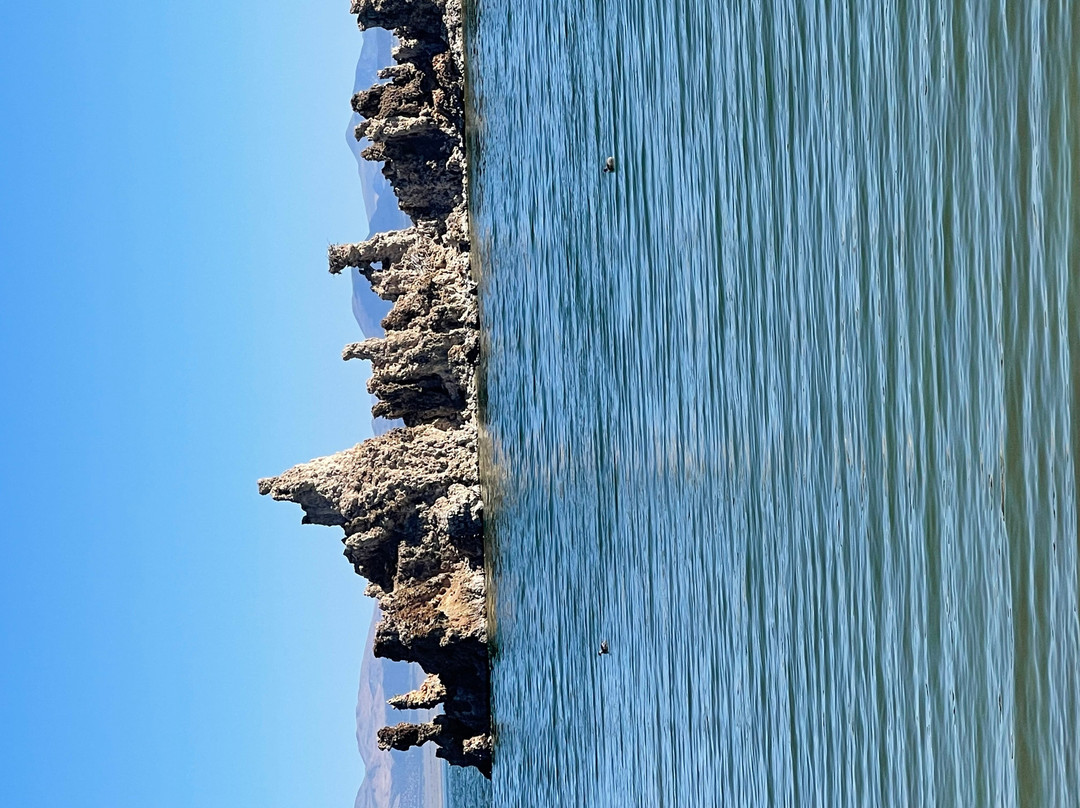 Mono Lake Tufa State Natural Reserve-利韦宁必去景点