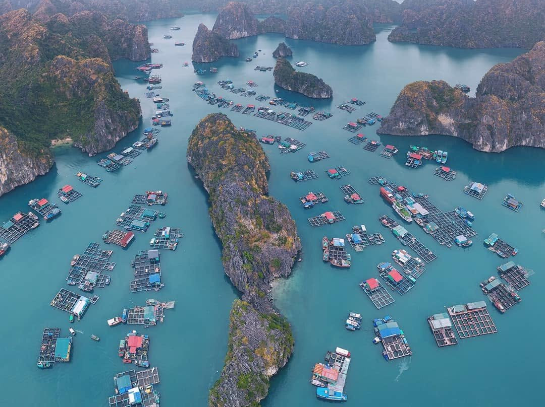 Cua Van Floating Village-下龙湾必去景点