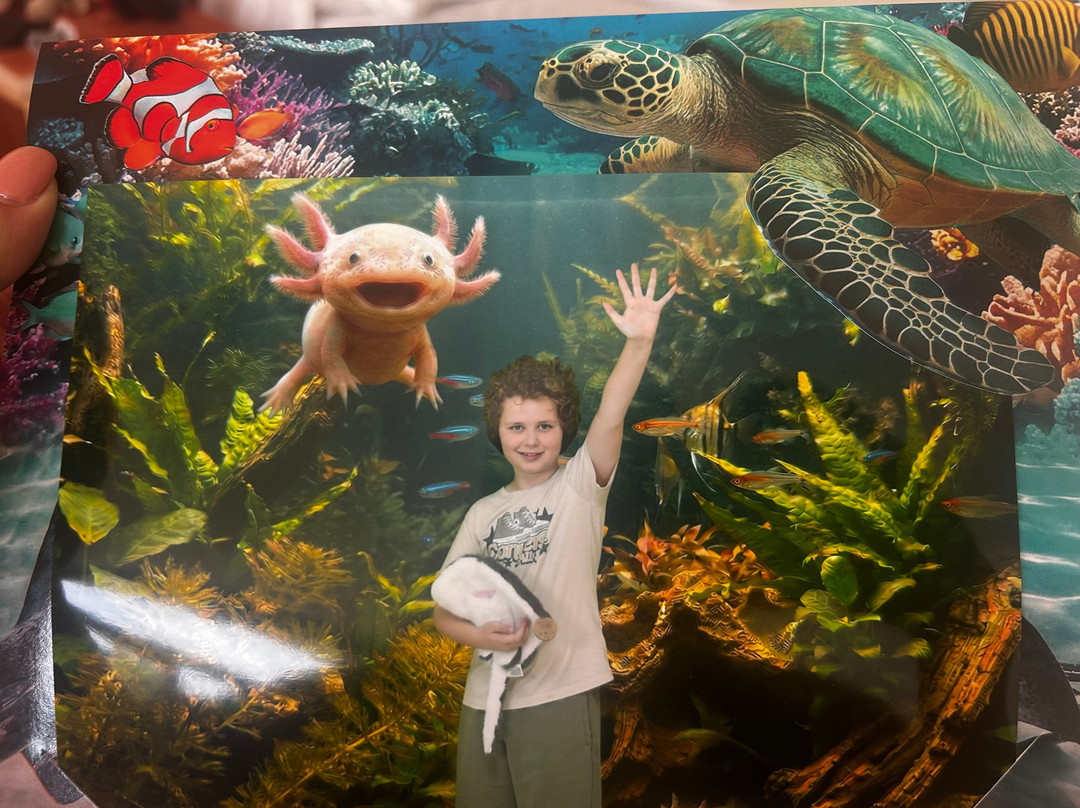 Lanzarote Aquarium-科斯塔特吉塞必去景点