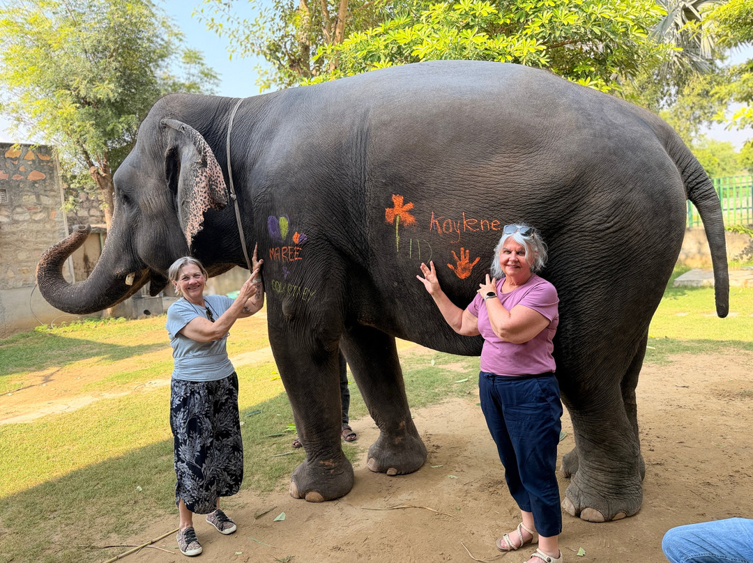 Elefanjoy Elephant Sanctuary-斋蒲尔必去景点